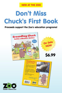 Chuck Book